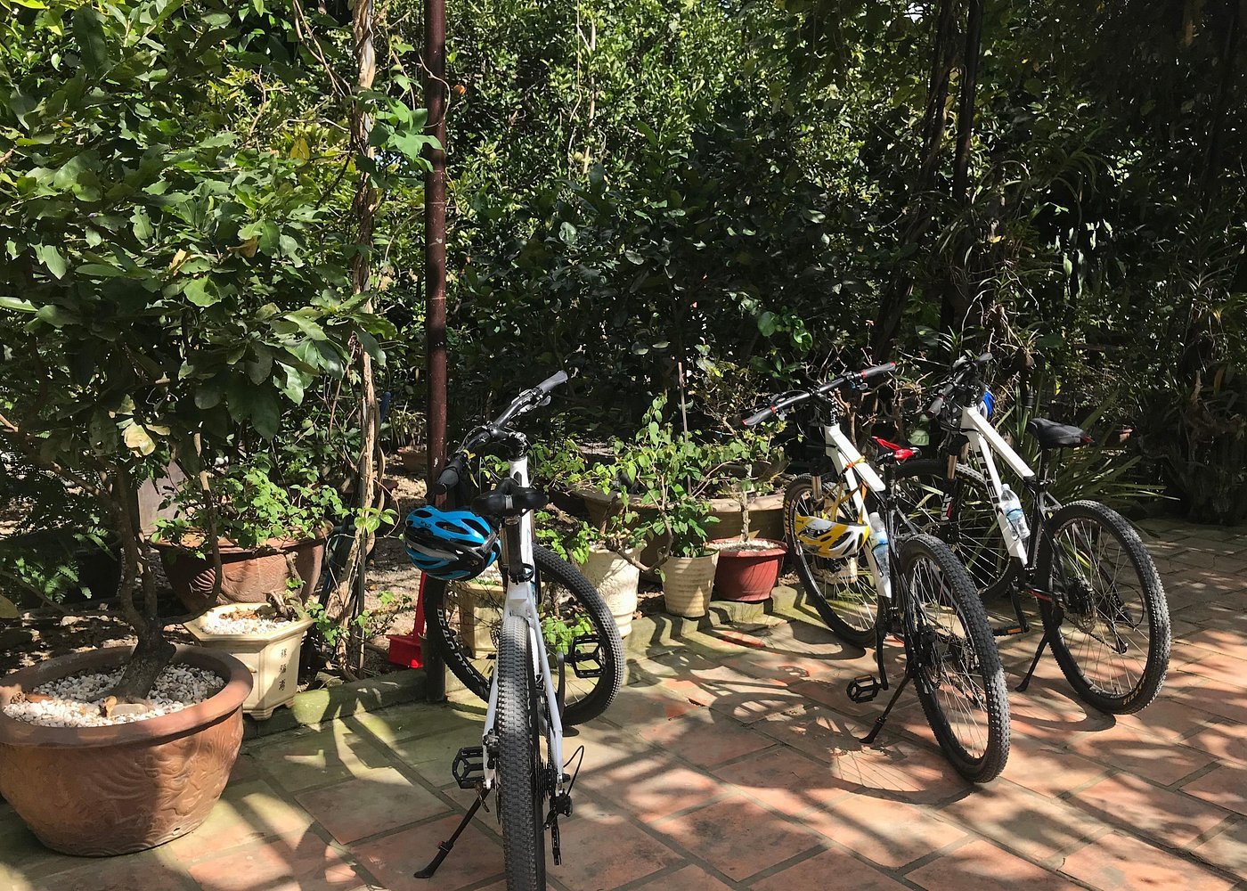 Nha Trang City Half-Day Biking Tour: Explore Hidden Gems & Local Life